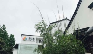 杭州彩虹魚康復護理院