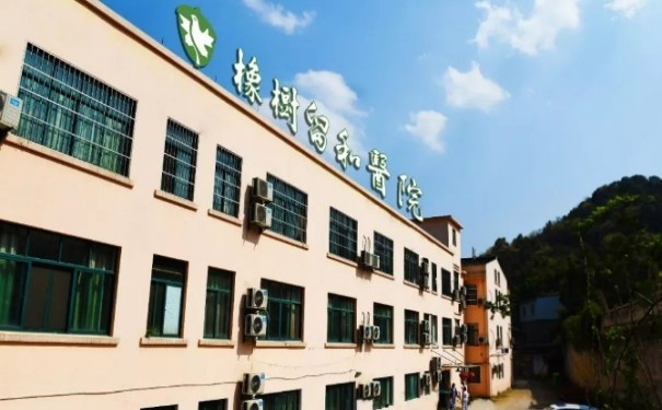 杭州橡樹留和醫院怎么約床位，收費標準怎么樣？